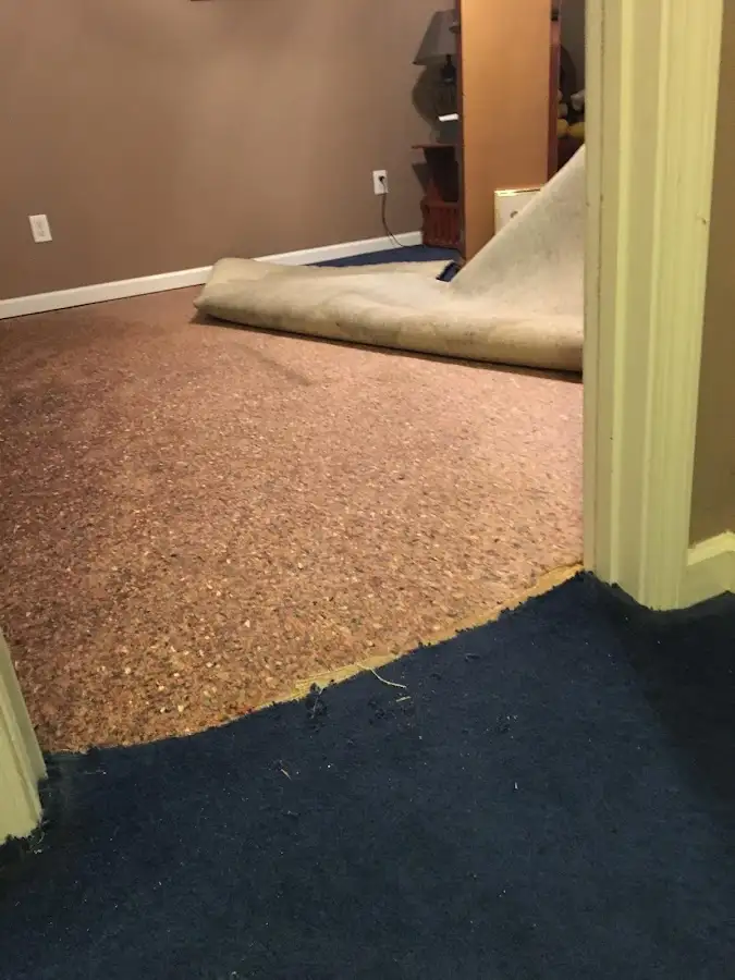 Carpet pad removal revealing water damage during Drying & Dehumidification in Speedway